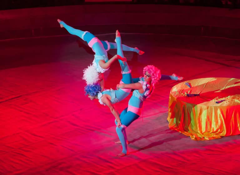 Full Body Electrolysis Electrolysis by Alison